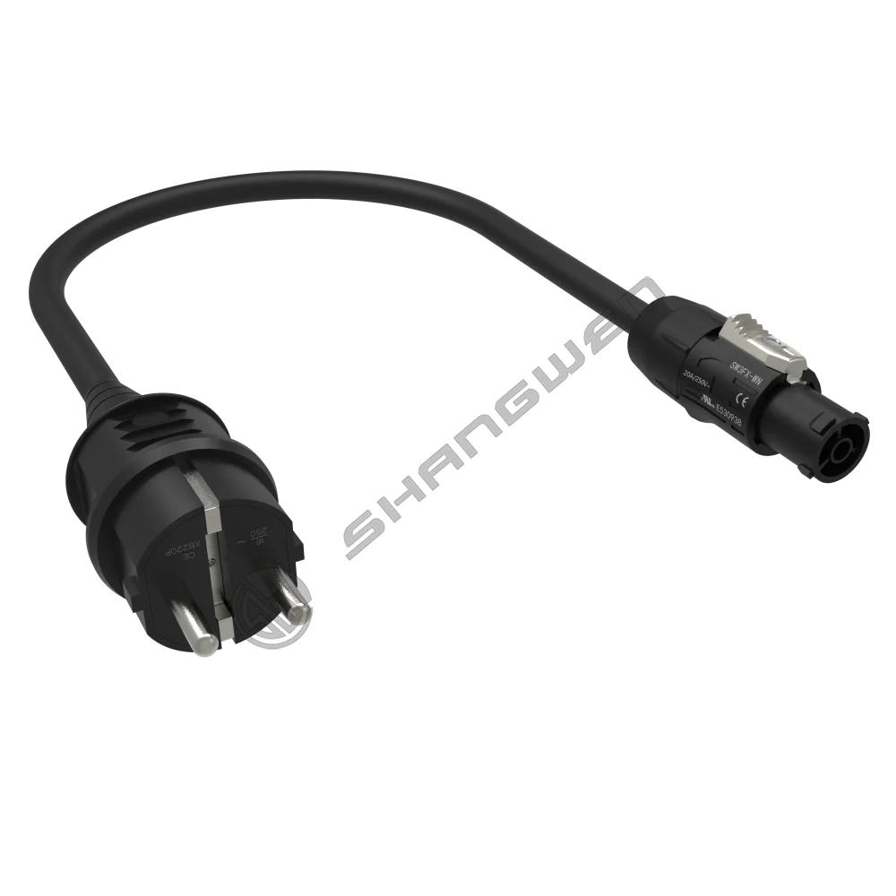 SW3FX-WN to European standard plug